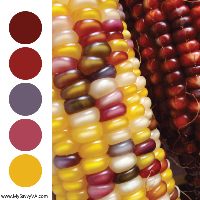 Color Palettes – Inspiration from Food