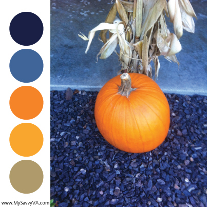 Color Palettes – Inspiration from Nature