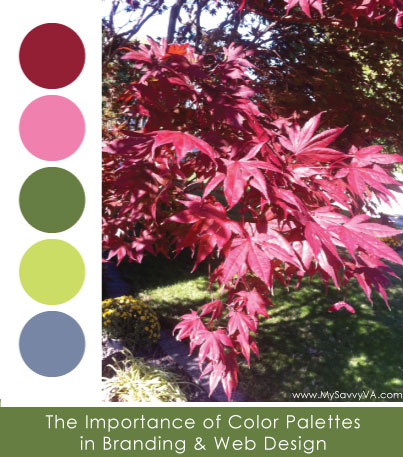 Importance of Color Palettes in Branding & Web Design
